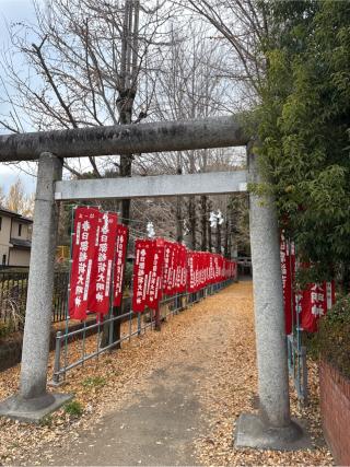 春日部稲荷神社の参拝記録(⛩️🐍🐢まめ🐢🐍⛩️さん)