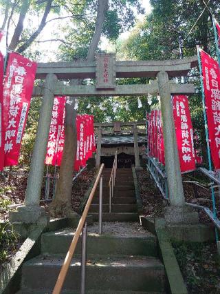 春日部稲荷神社の参拝記録(バクちんさん)