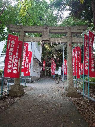 春日部稲荷神社の参拝記録(バクちんさん)