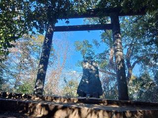 春日部稲荷神社の参拝記録(しんのすけさん)