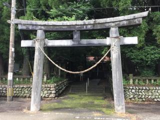 新田神社の参拝記録(TOSHIさん)