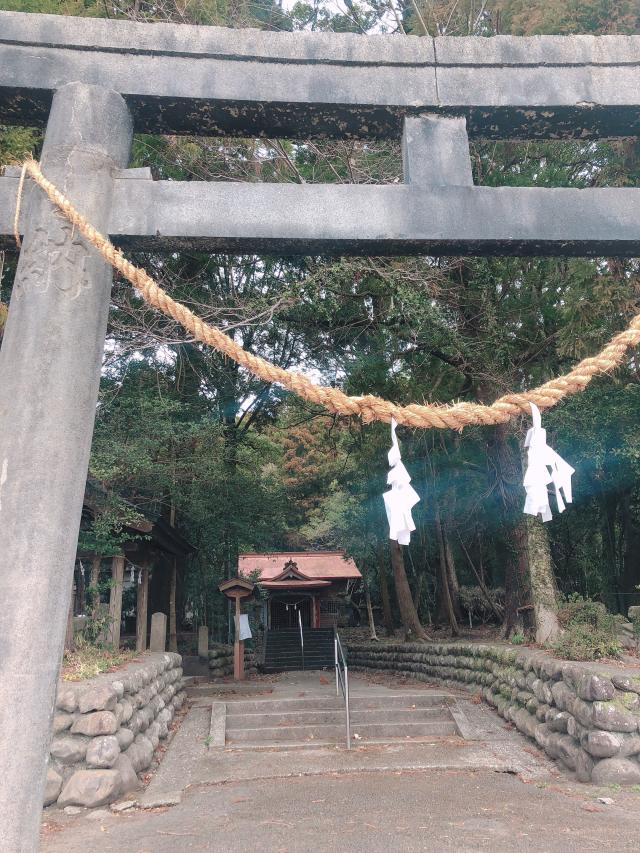 新田神社の参拝記録5