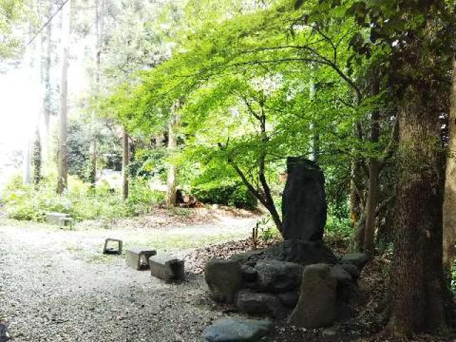 奈良県天理市森本町205 姫大神社の写真2
