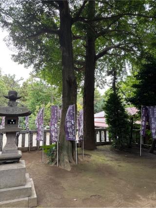 淡島神社（鶴嶺八幡宮）の参拝記録(⛩️🐍🐢まめ🐢🐍⛩️さん)
