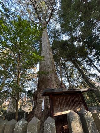 宮砥八幡社の参拝記録(B4-61さん)