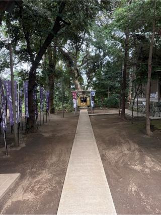 鉾宮神社（鶴嶺八幡宮）の参拝記録(⛩️🐍🐢まめ🐢🐍⛩️さん)