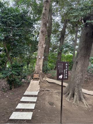 鶴嶺稲荷神社（鶴嶺八幡宮）の参拝記録(⛩️🎠🐢まめ🐢🎠⛩️さん)
