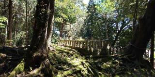 赤猪岩神社の参拝記録(パスカルさん)