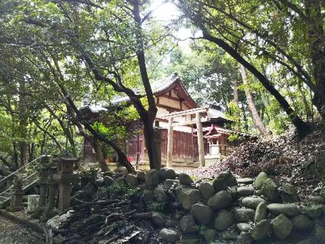 奈良県天理市豊田町878 豊田神社(豊田トンド山古墳)の写真1