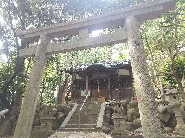 豊田神社(豊田トンド山古墳)の参拝記録2