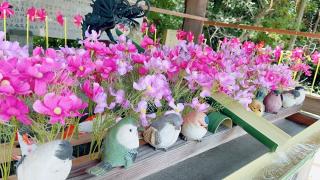 國分八幡宮の参拝記録(ポッシュさん)