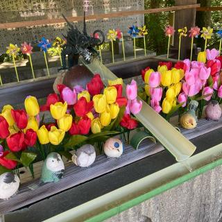 國分八幡宮の参拝記録(さくらさん)