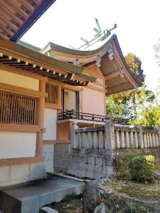 幡羅八幡神社の参拝記録(ろかずさん)