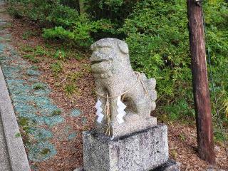 幡羅八幡神社の参拝記録(飛成さん)