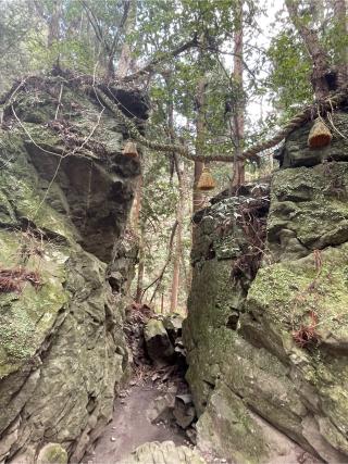天の岩戸神社(室生龍穴神社 境内社)の参拝記録(KUMIKOさん)