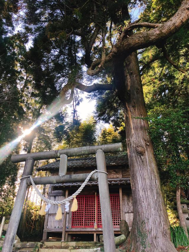 高濱神社の参拝記録1