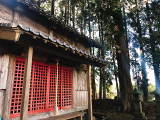 高濱神社の参拝記録( 14th moonさん)
