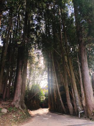 高濱神社の参拝記録( 14th moonさん)