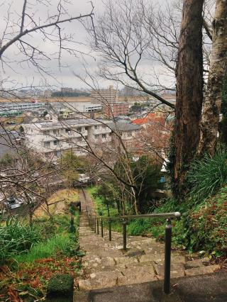 虚空蔵菩薩神社の参拝記録( 14th moonさん)