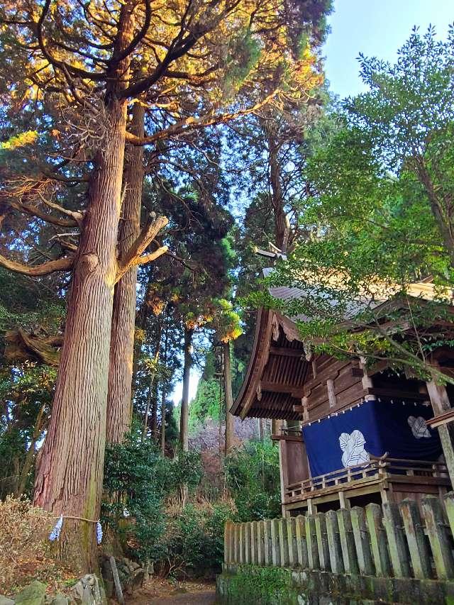 熊本県阿蘇郡高森町大字高森354-2 高森阿蘇神社の写真8