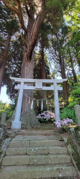 高森阿蘇神社の参拝記録(ゆきみぃさん)