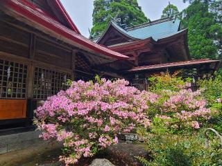 男成神社の参拝記録(風祭すぅさん)