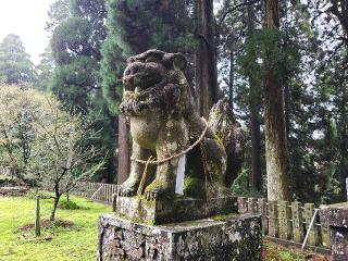 男成神社の参拝記録(飛成さん)