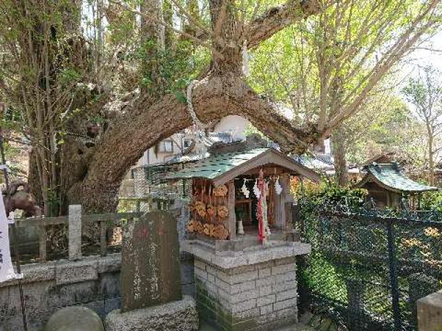 神奈川県三浦市三崎4-12-11 龍神社(海南神社境内社)の写真2