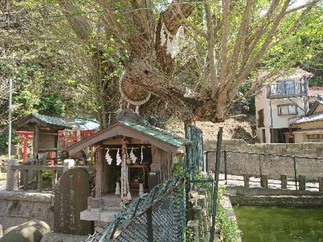 神奈川県三浦市三崎4-12-11 龍神社(海南神社境内社)の写真3