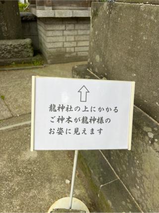龍神社(海南神社境内社)の参拝記録(⛩️🐍🐢まめ🐢🐍⛩️さん)