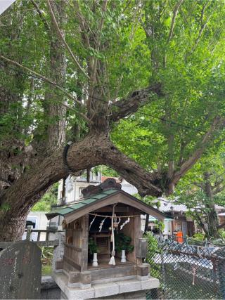 龍神社(海南神社境内社)の参拝記録(⛩️🐍🐢まめ🐢🐍⛩️さん)