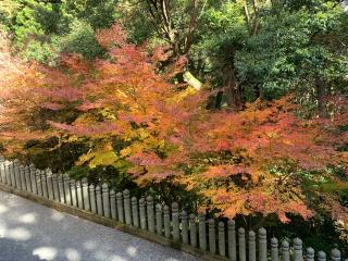 一乗寺　鐘楼の参拝記録(ひろパパさん)