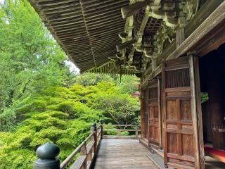 圓教寺 摩尼殿の参拝記録(ルルさん)