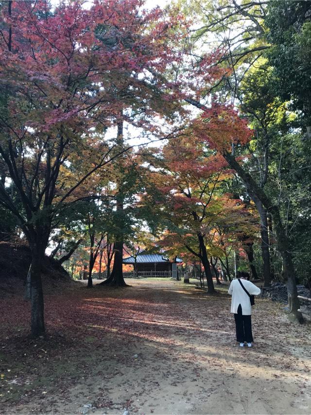 圓教寺 薬師堂の参拝記録9