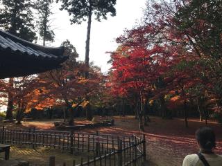 圓教寺 薬師堂の参拝記録(ちひろさん)