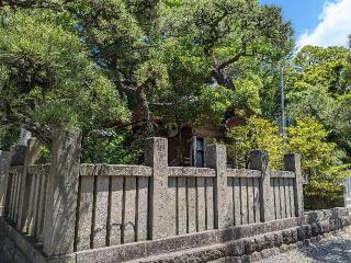 大鳥神社（意富比神社摂社）の参拝記録(はしどいさん)