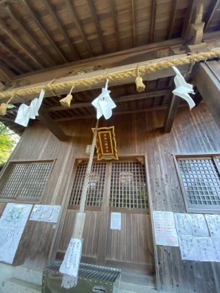 津田八幡神社の参拝記録(タイチさん)