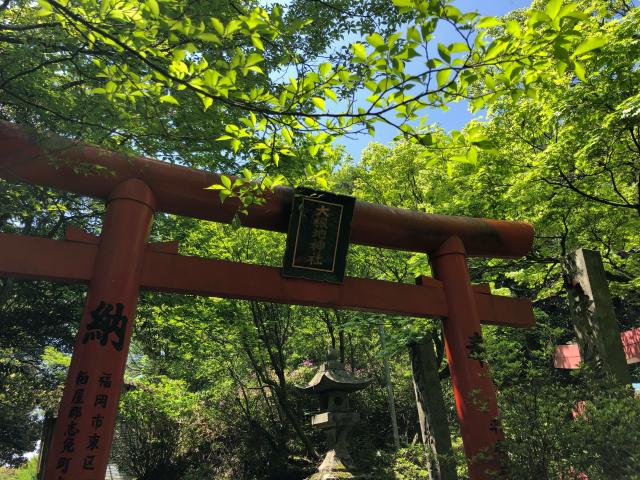 福岡県飯塚市内野2507-3 大根地神社の写真2
