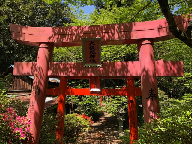 福岡県飯塚市内野2507-3 大根地神社の写真3