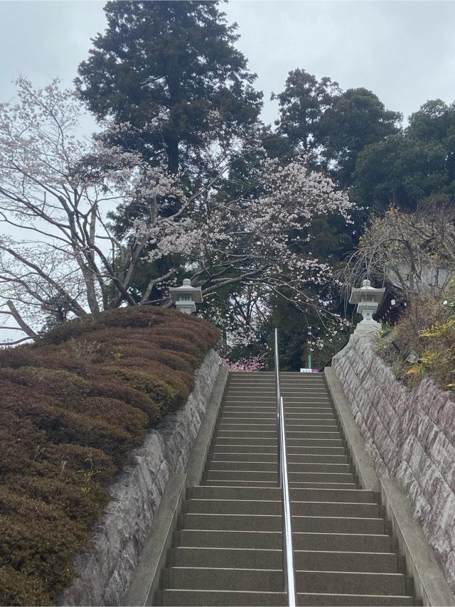 東京都八王子市廿里町４８−１ 廿里白山神社の写真5