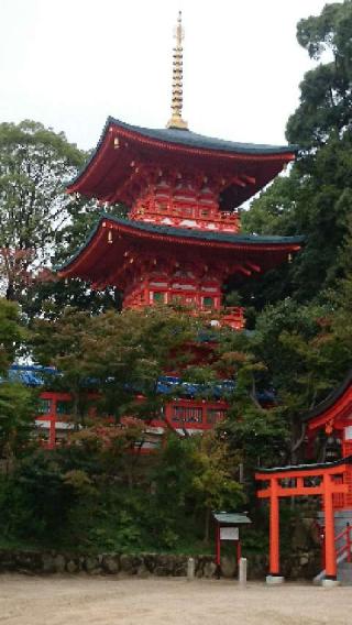 須磨寺 厄除大師の参拝記録(sasa1さん)