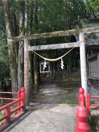 卑弥呼神社の参拝記録(タバさん)