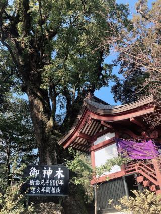 雨之社の参拝記録( 14th moonさん)