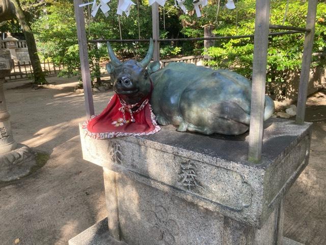 菊水天満神社の参拝記録8