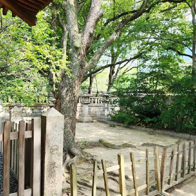 菊水天満神社の参拝記録5