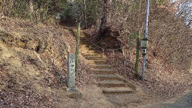 魔法神社の参拝記録1