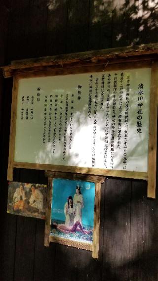 清水川神社の参拝記録(なみなみさん)