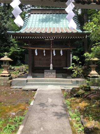 芝岡神社(浅間神社境内社)の参拝記録(こーちんさん)