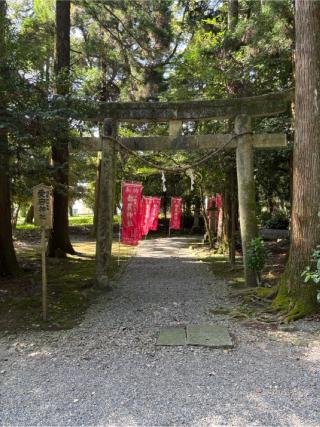 稲荷神社の参拝記録(いけさん)