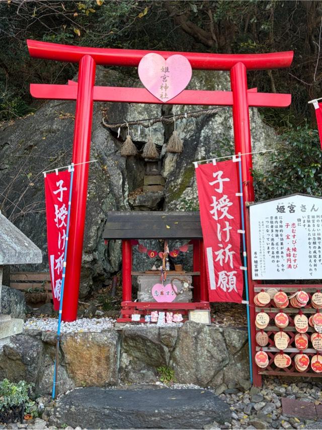 姫宮神社(天神社)の参拝記録3